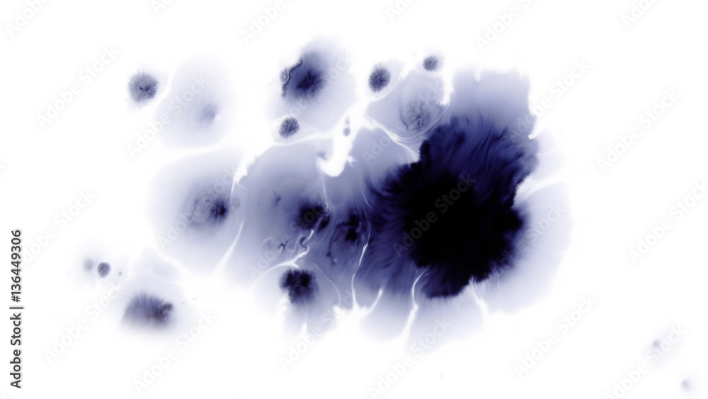 Obraz premium Beautiful watercolor ink drops on white paper, paint bleed Bloom, with black circle organic flow expanding, splatter spreading on clear background. Perfect for motion graphics, digital composition