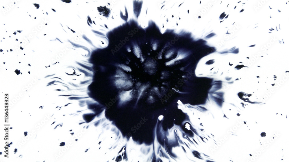 Fototapeta premium Beautiful watercolor ink drops on white paper, paint bleed Bloom, with black circle organic flow expanding, splatter spreading on clear background. Perfect for motion graphics, digital composition