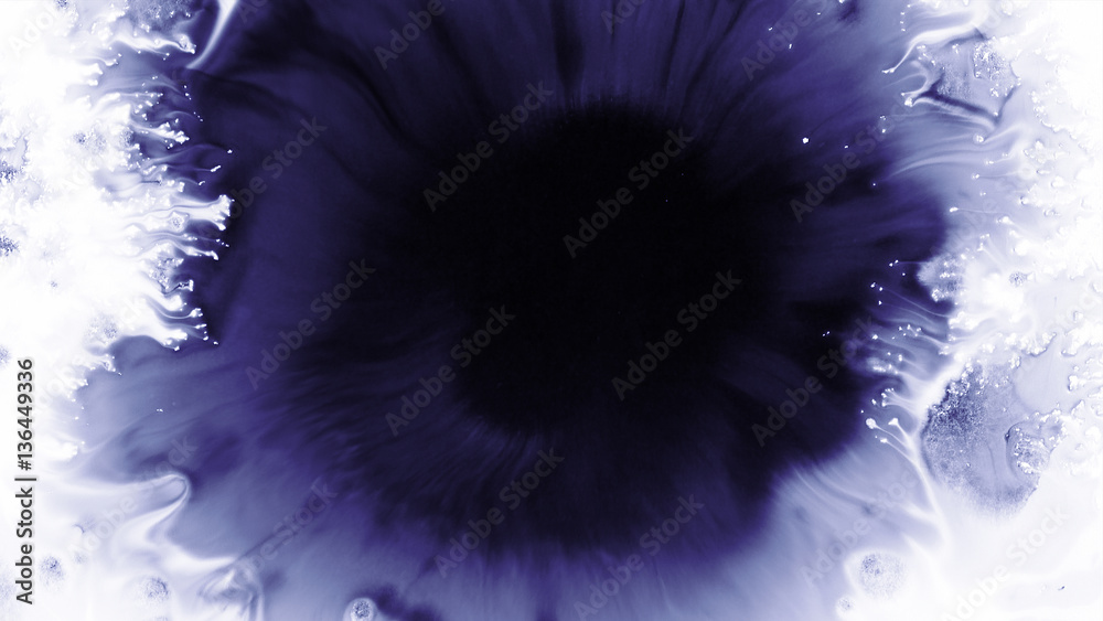 Fototapeta premium Beautiful watercolor ink drops on white paper, paint bleed Bloom, with black circle organic flow expanding, splatter spreading on clear background. Perfect for motion graphics, digital composition