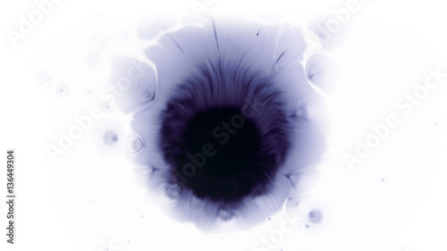 Beautiful watercolor ink drops on white paper, paint bleed Bloom, with black circle organic flow expanding, splatter spreading on clear background. Perfect for motion graphics, digital composition