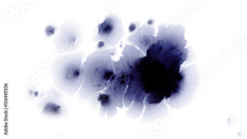 Beautiful watercolor ink drops on white paper, paint bleed Bloom, with black circle organic flow expanding, splatter spreading on clear background. Perfect for motion graphics, digital composition