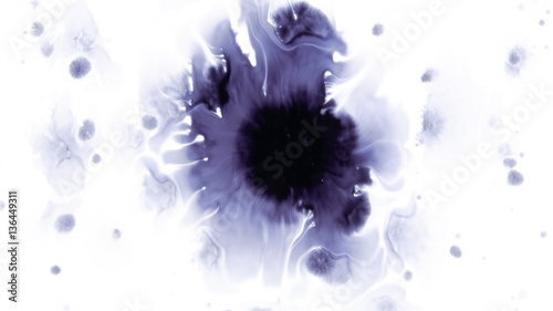 Beautiful watercolor ink drops on white paper  paint bleed Bloom  with black circle organic flow expanding  splatter spreading on clear background. Perfect for motion graphics  digital composition