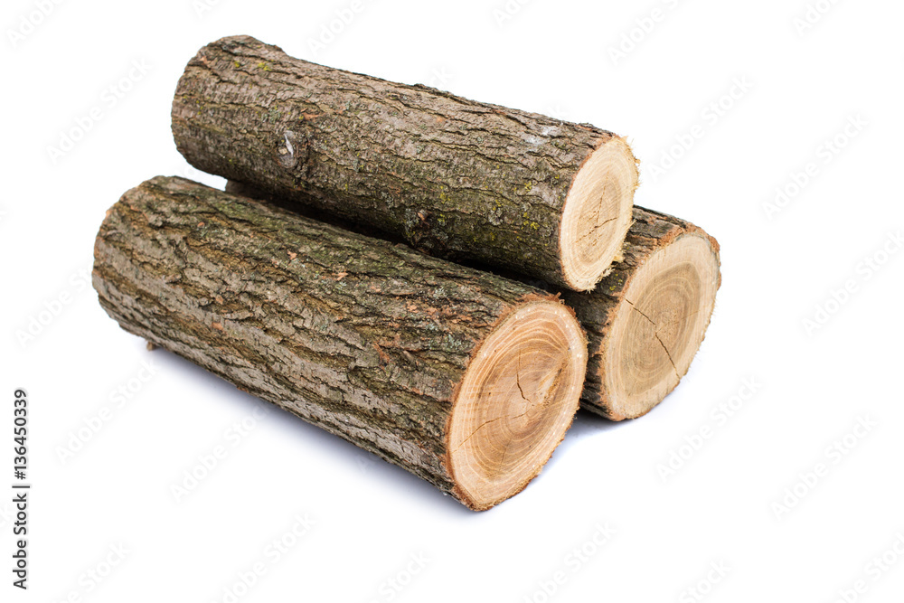 logs on white background, studio photo, acacias tree logs on white background, studio photo, acacias tree