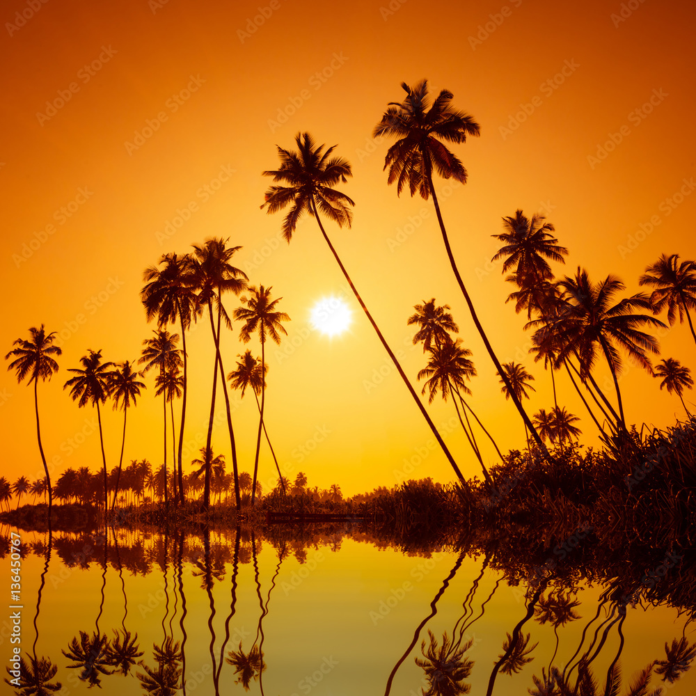 Palm trees silhouettes on tropical beach at summer warm vivid sunset with reflection in calm water