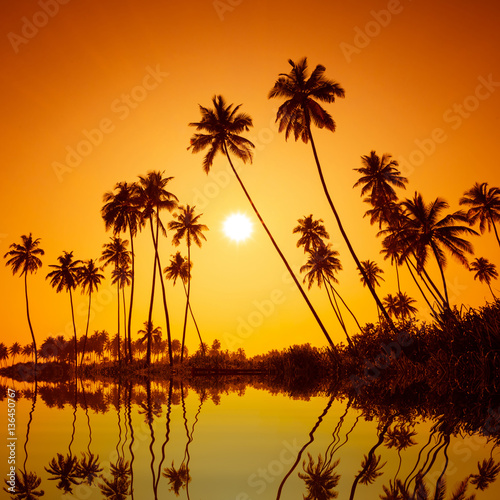 Palm trees silhouettes on tropical beach at summer warm vivid sunset with reflection in calm water © nevodka.com