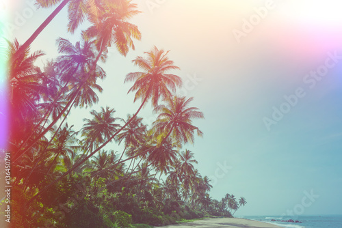 Empty remote tropical beach with exotic coconut palm trees vintage color stylized with film flare light leaks © nevodka.com