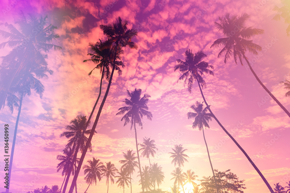 Obraz Tropical sunset stylized with vintage film light leaks