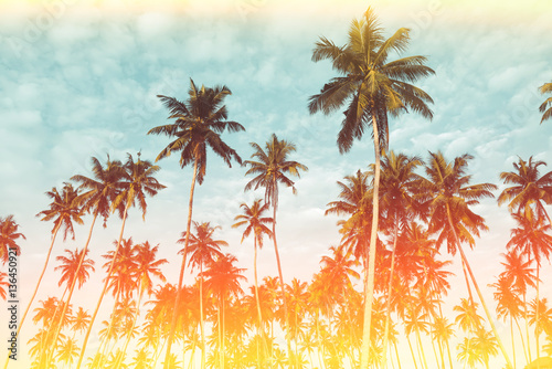 Coconut palm trees on tropical beach vintage nostalgic film flare leak and color filter stylized