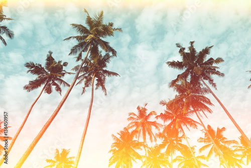 Coconut palm trees on tropical beach vintage nostalgic film color filter stylized and toned © nevodka.com