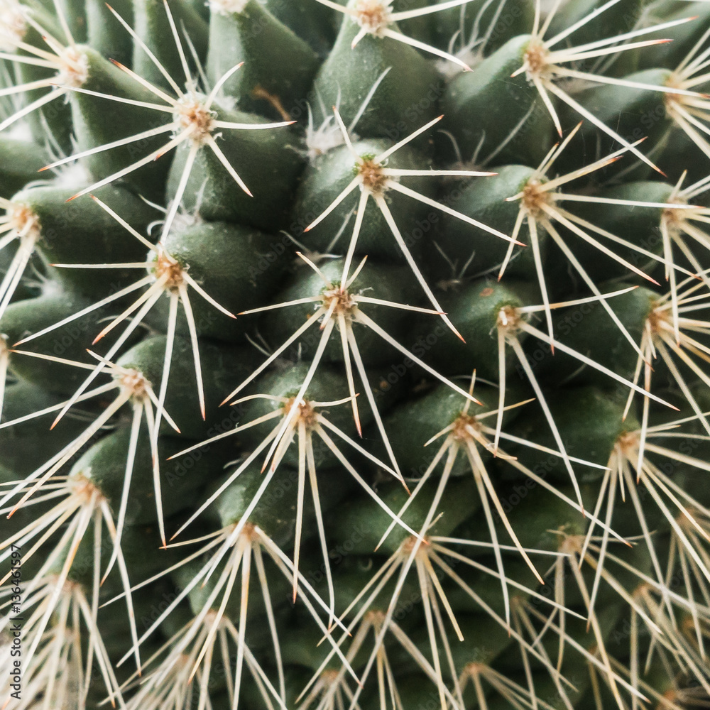 Spiked Spiked