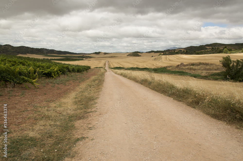 Road to Santiago from Estella to Los Arcos