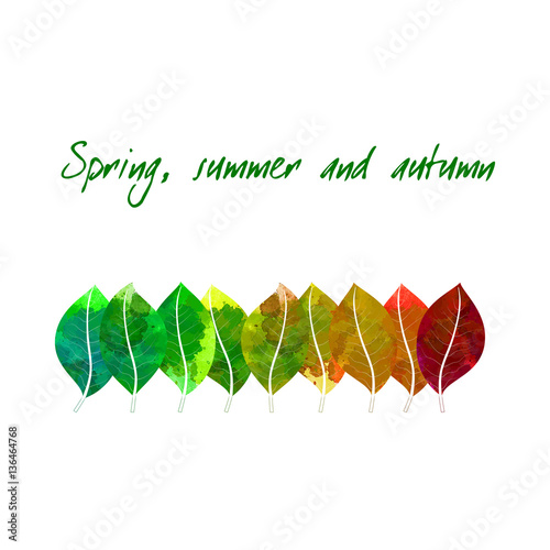 Spring, Summer and Autumn  -     vector   watercolor  foliage  template