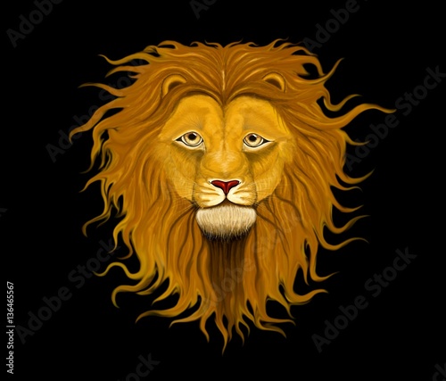 Majestic lion with long mane of curls on  on a black background
