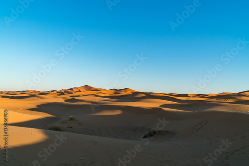 sand dune  
