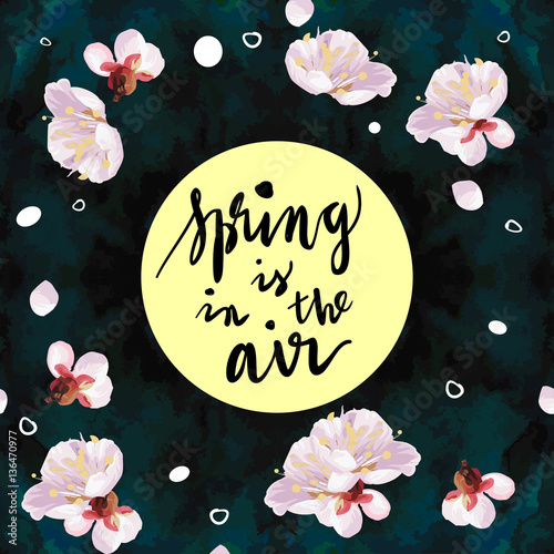 "spring is in the air" hand written lettering. Blossom mood illustration. Card vector template. Textured plum tree flowers and petals on velvet textured background.