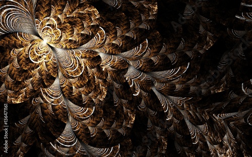 Fractal Pinnate Pattern - Fractal Art 