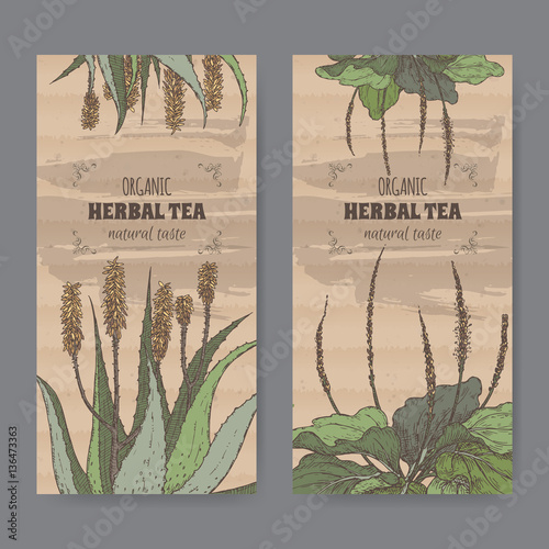 Two color vintage labels for aloe and plantain herbal tea.