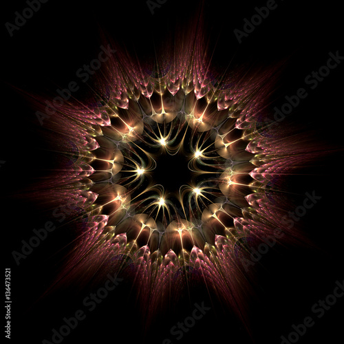 Haeckel inspitation - Radial Symmetry of Protozoan    - Fractal Art photo