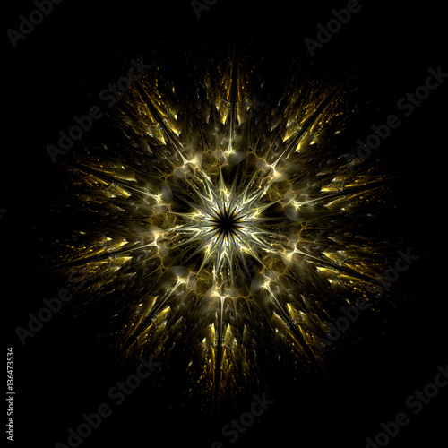 Haeckel inspitation - Radial Symmetry of Protozoan    - Fractal Art photo