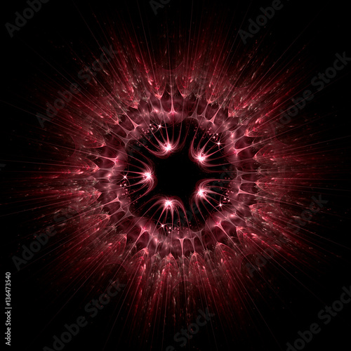 Haeckel inspitation - Radial Symmetry of Protozoan    - Fractal Art photo