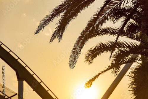 Silhouettes of palm trees and beautiful sunset over city