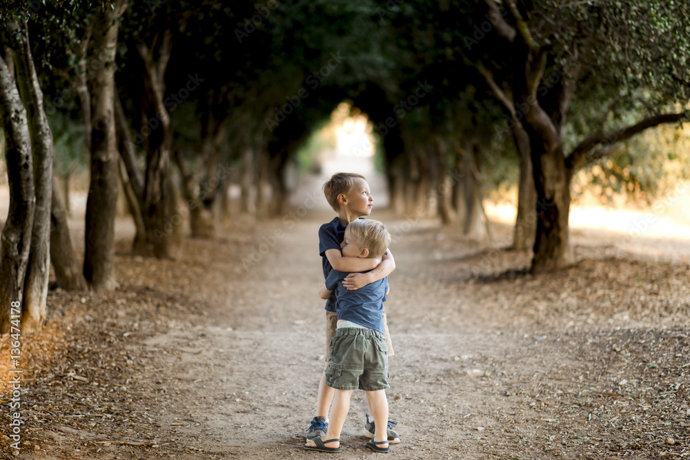 Siblings embracing while standing on walkway amidst trees Siblings embracing while standing on walkway amidst trees