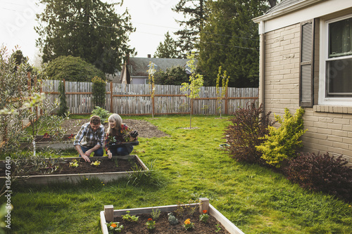Smiling couple planting in raised bed at backyard photo