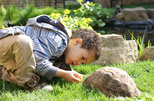 little boy lovingly feeding his tortoise