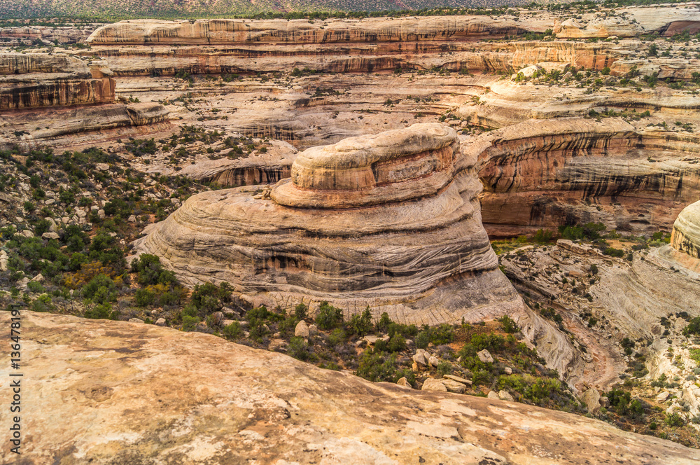 Obraz premium beautiful views of the Natural bridges State park, Utah, USA