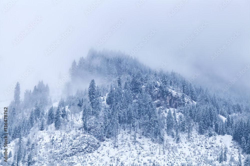 mountain top in winter covered with fog