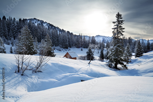 snowy hills in winter Alps