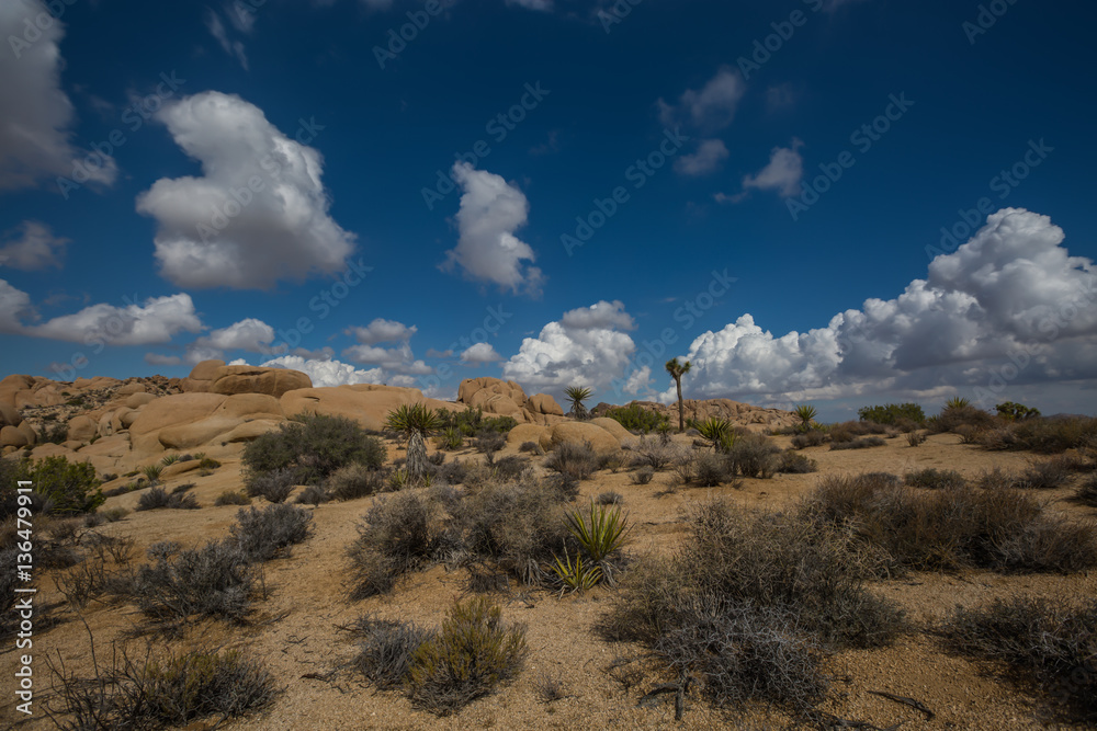 Naklejka premium Desert