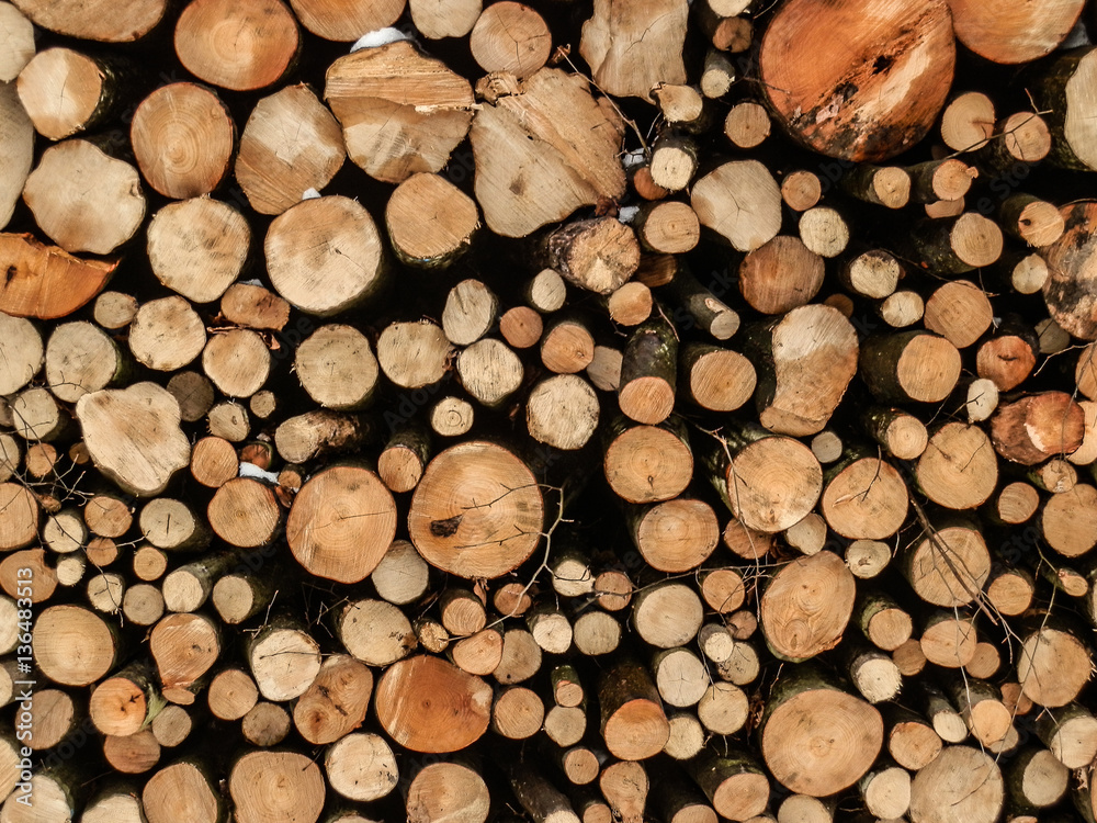 Fototapeta premium Fire wood logs set for long winter texture