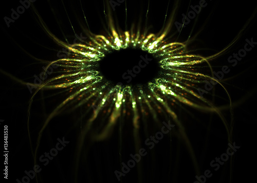 Haeckel inspitation - Radial Symmetry of Protozoan    - Fractal Art photo