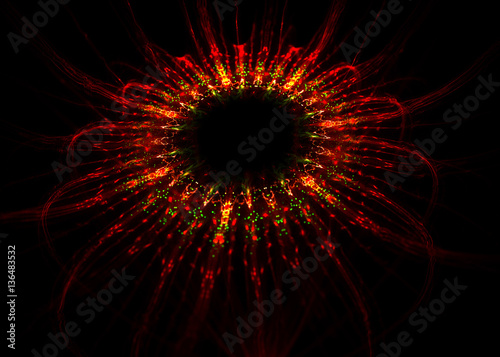 Haeckel inspitation - Radial Symmetry of Protozoan    - Fractal Art photo