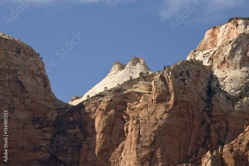 Zion mountains and cliffs with trees growing out of rocks