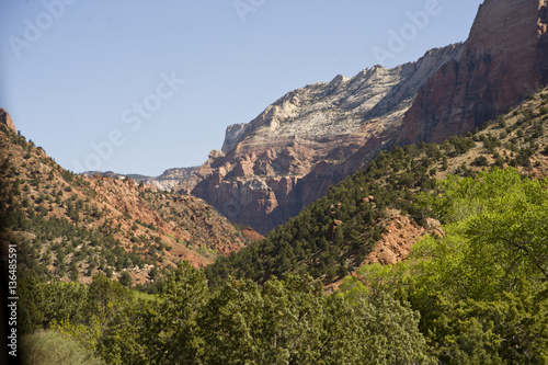 Zion mountains and cliffs with trees growing out of rocks
