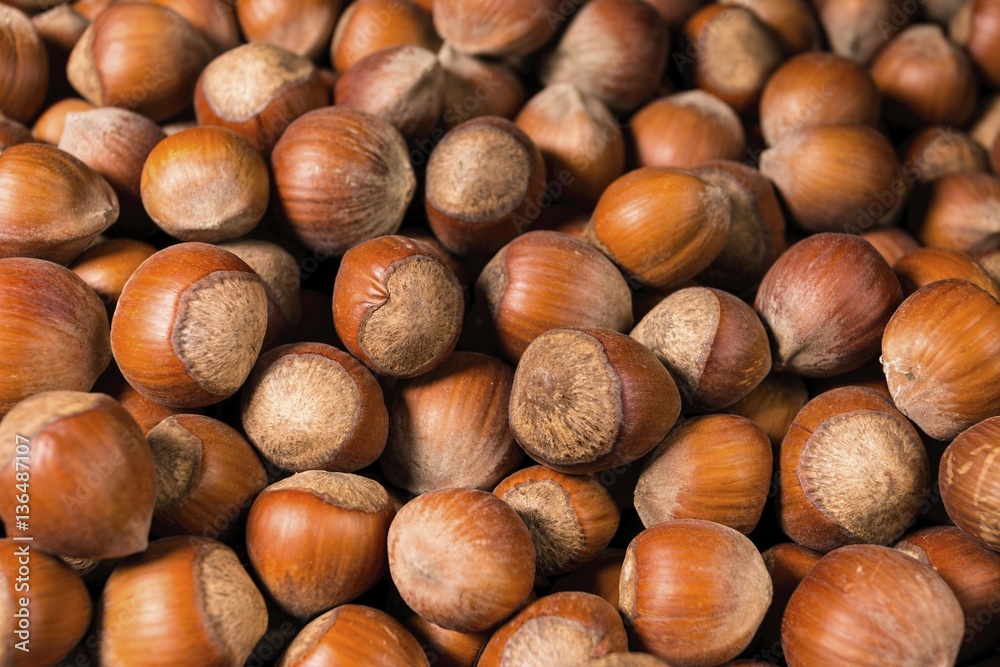 A pile of shelled hazelnuts. Macro shot. A pile of shelled hazelnuts. Macro shot.