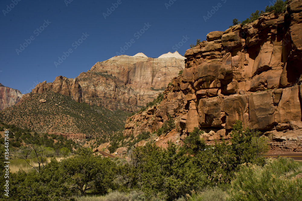 Zion, rocky mountains with trees growing out of the rocks Zion, rocky mountains with trees growing out of the rocks