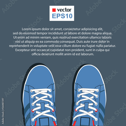 pair of casual sneakers with laces and copy space , vector, illustration,