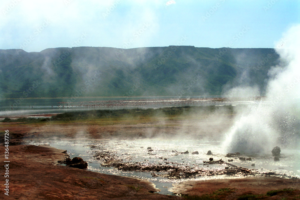 Fototapeta premium Lake Bogoria, Kenya