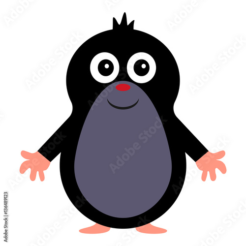 Mole