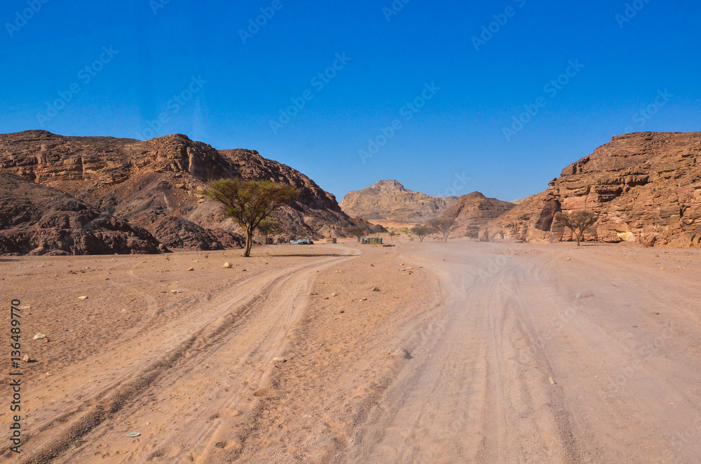 Road through the sand