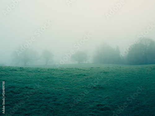Obraz na plátně foggy countryside in Northern Ireland