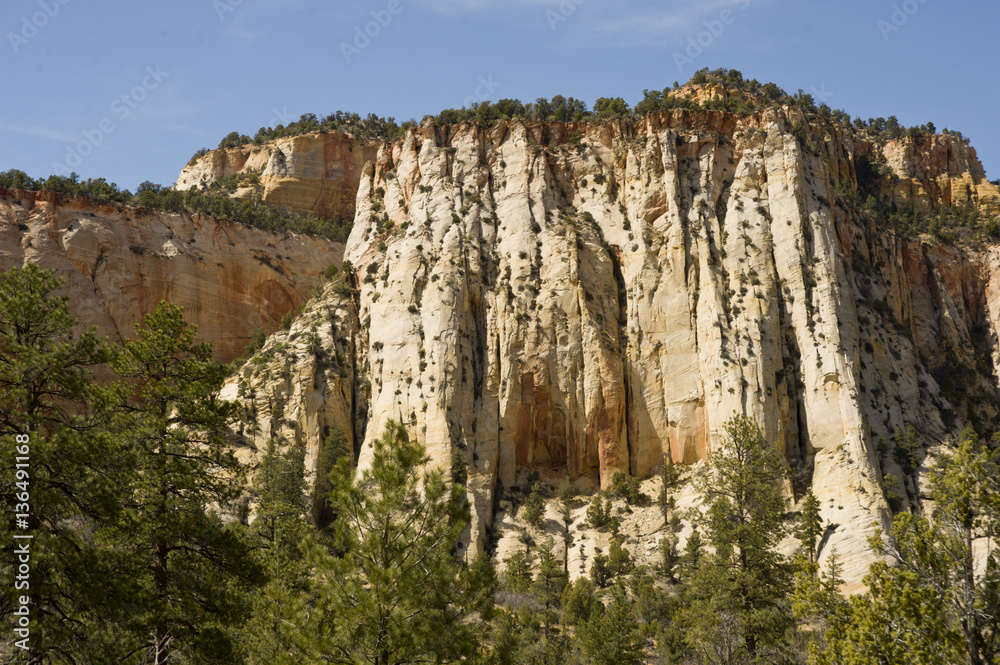 Zion, rocky mountains with trees growing out of the rocks Zion, rocky mountains with trees growing out of the rocks