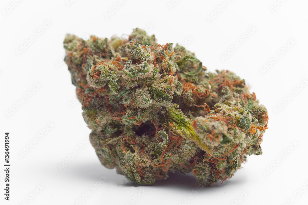 Close up of Jack Herrer medical marijuana buds Close up of Jack Herrer medical marijuana buds
