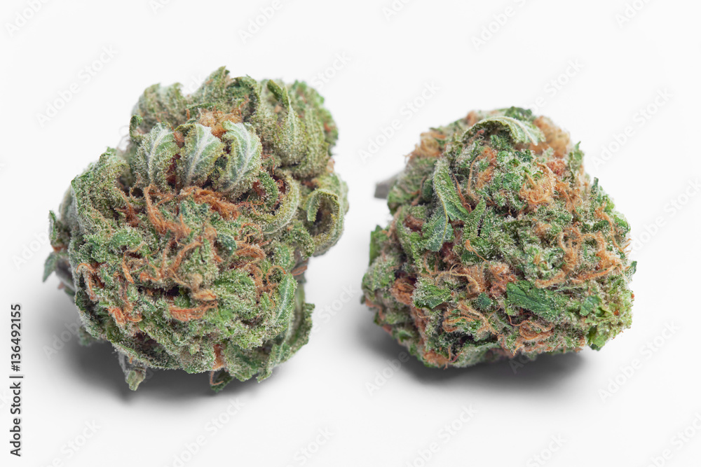 Close up of Charlie Sheen medical marijuana buds