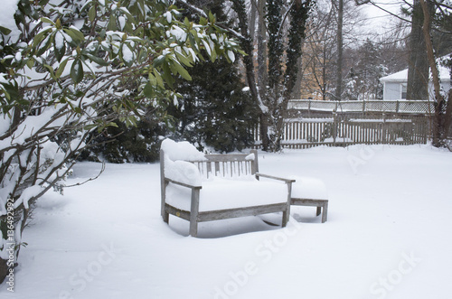 garden and back yard bench in the snow