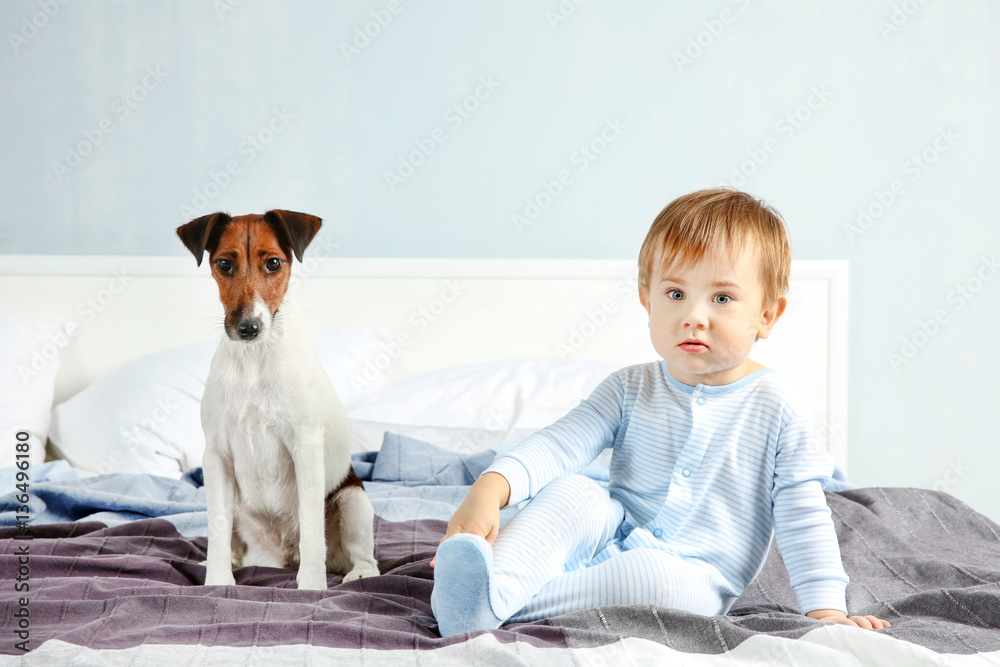 Cute little boy with funny dog on bed at home Cute little boy with funny dog on bed at home