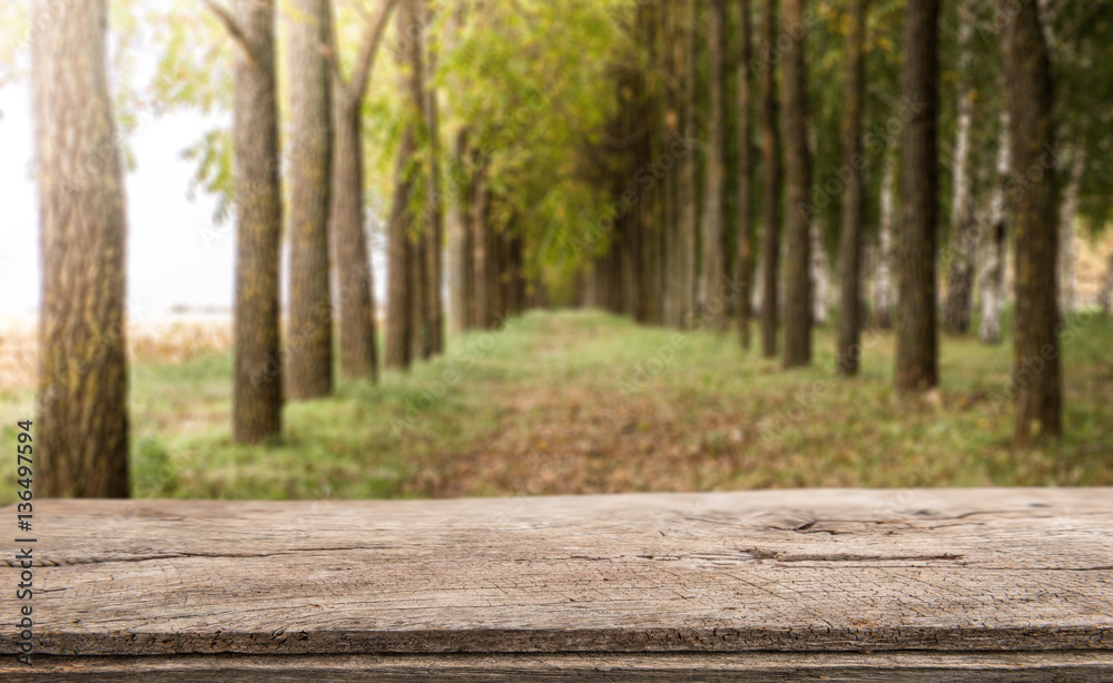 Perspective white wood over blur trees with bokeh background, spring and autumn season Perspective white wood over blur trees with bokeh background, spring and autumn season